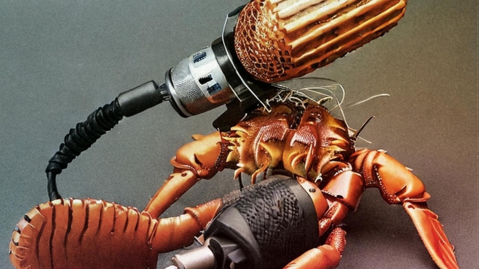 Ein KI-generiertes Bild einer Krabbe, die statt Scheren Mikrofone hat