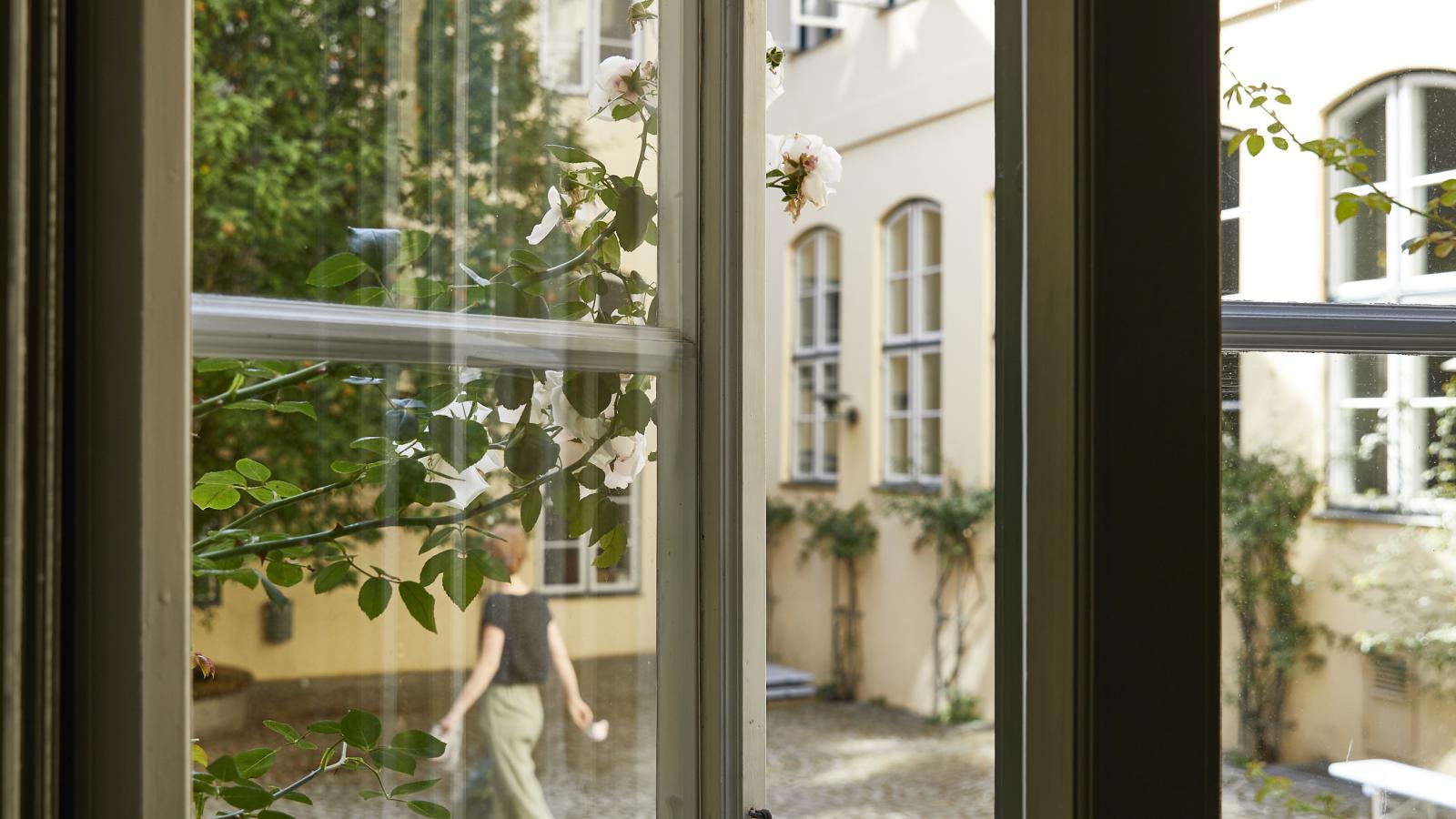 Blick aus einem Fenster in den MHL-Rosenhof