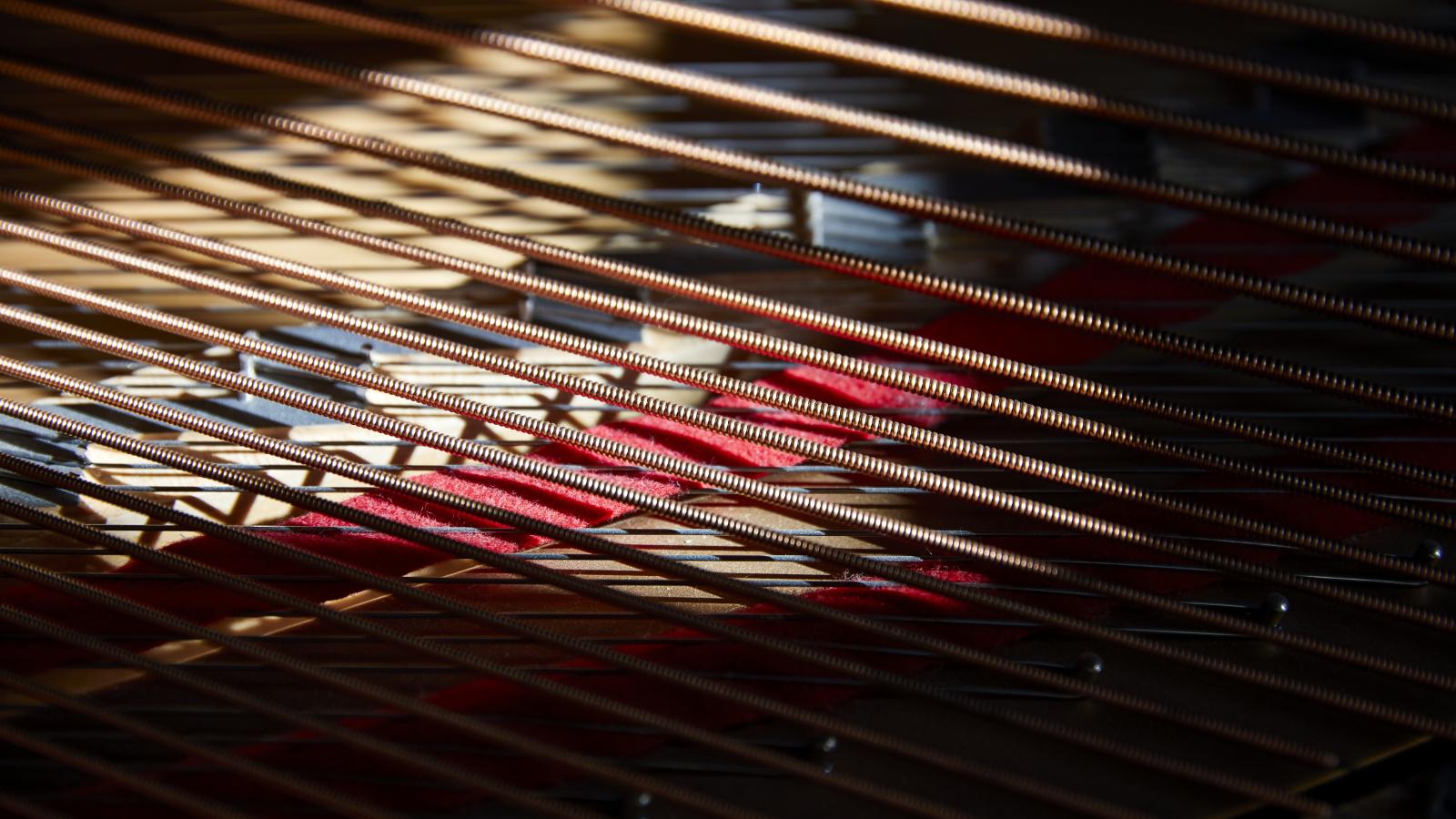Blick auf Klaviersaiten eines Flügels