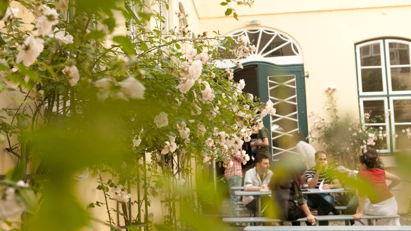 Blick auf den MHL-Rosenhof