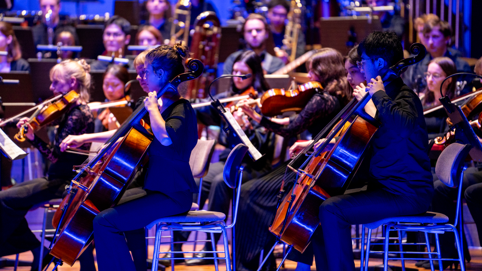 Blick auf das MHL-Sinfonieorchester