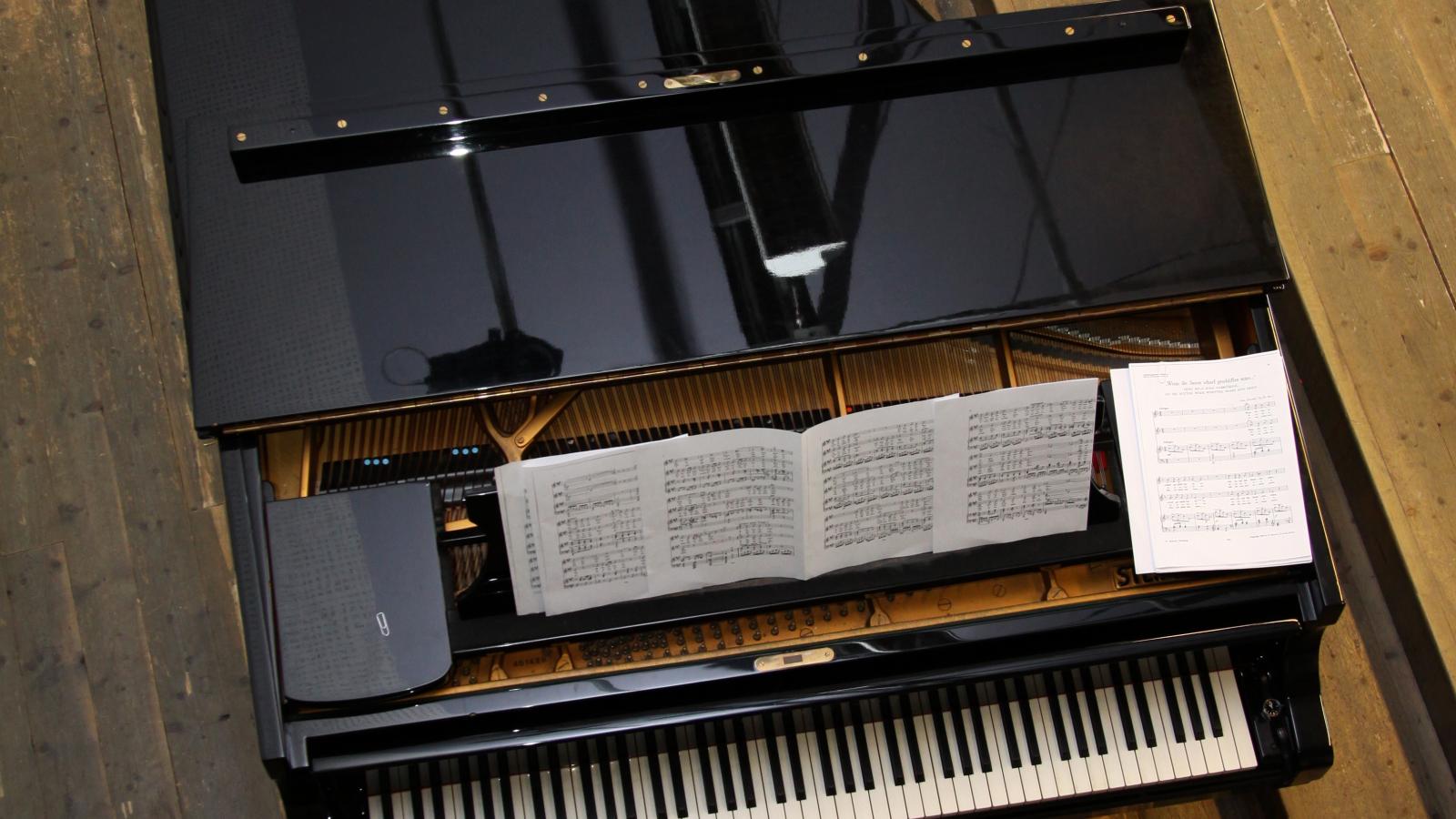 Blick von oben auf einen Flügel