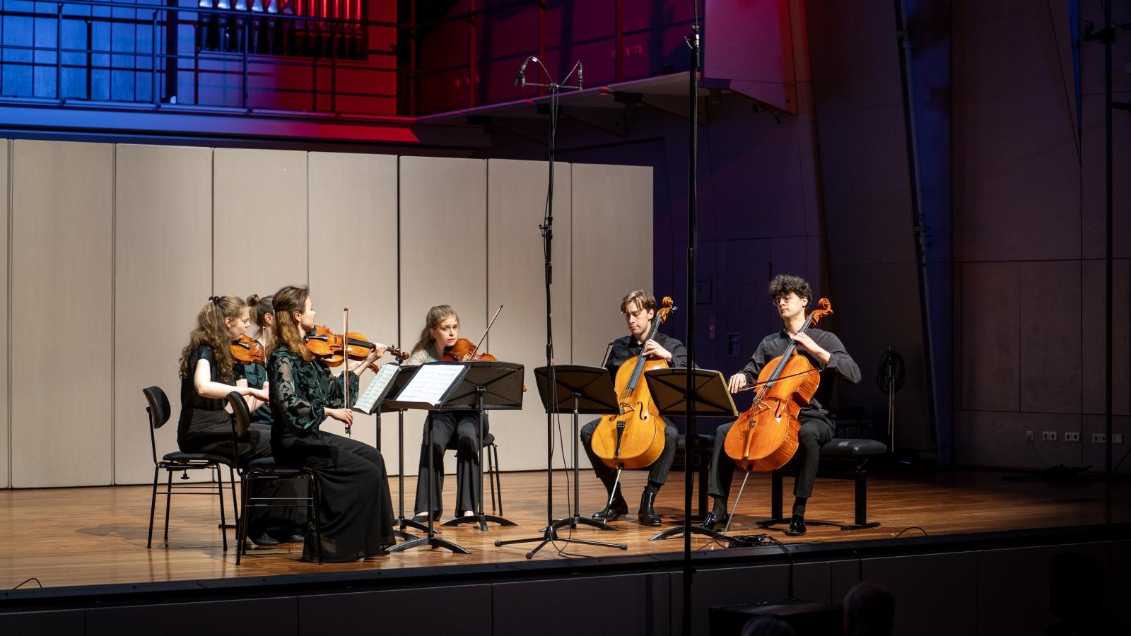 Ein Streichensemble aus Dozierenden und Studierenden der MHL spielt beim Brahms-Festival