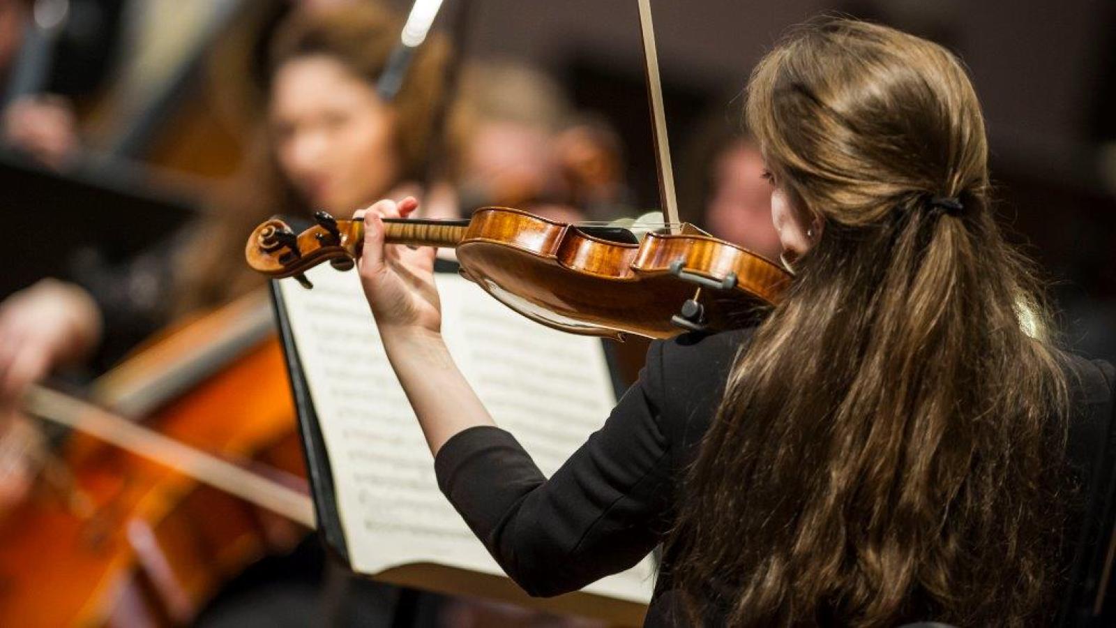 Blick auf das MHL-Sinfonieorchester