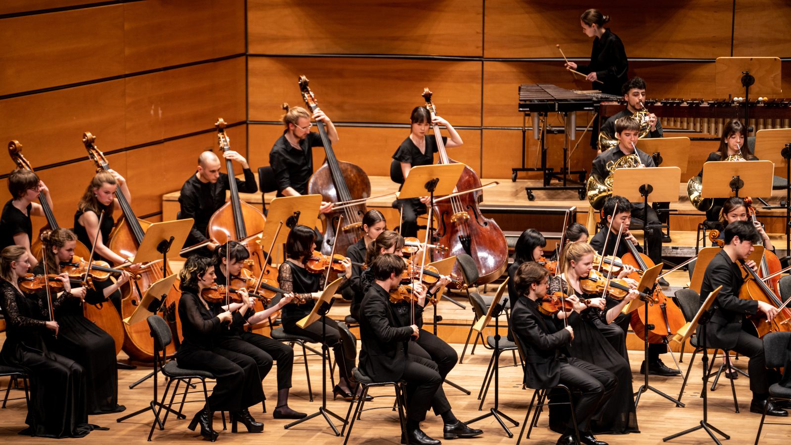 Blick auf das MHL-Sinfonieorchester auf der Bühne der Lübecker MuK
