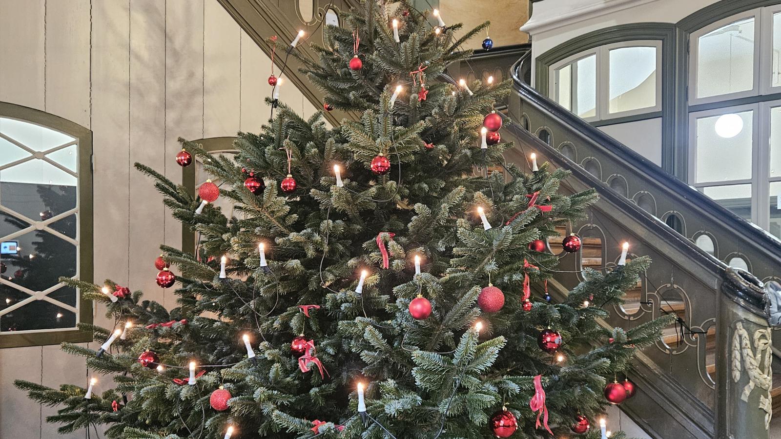 Blick auf den MHL-Weihnachtsbaum in der Diele Große Petersgrube 21