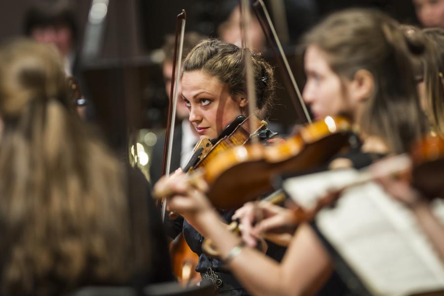 Blick auf das MHL-Sinfonieorchester