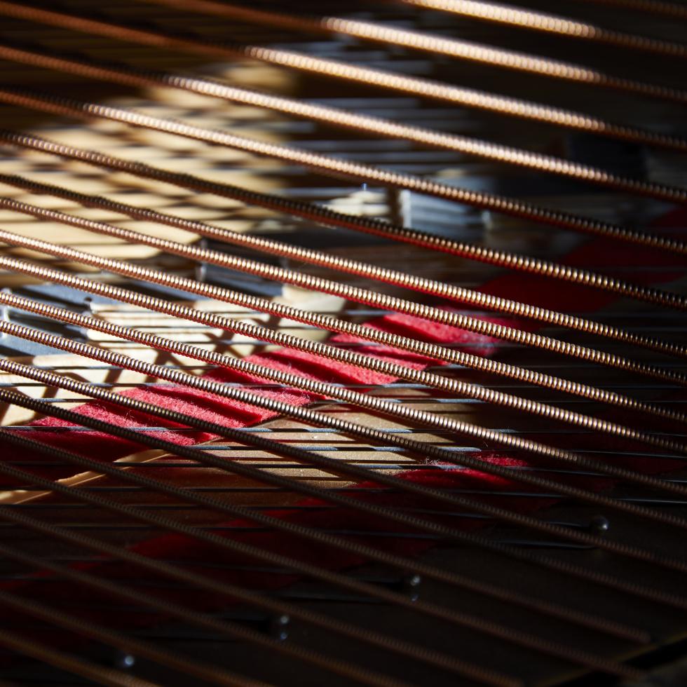 Blick auf Klaviersaiten eines Flügels